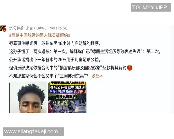中国足球黑人现象探讨与发展前景分析